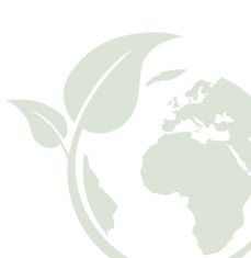 image of earth