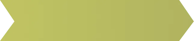 image of ribbon